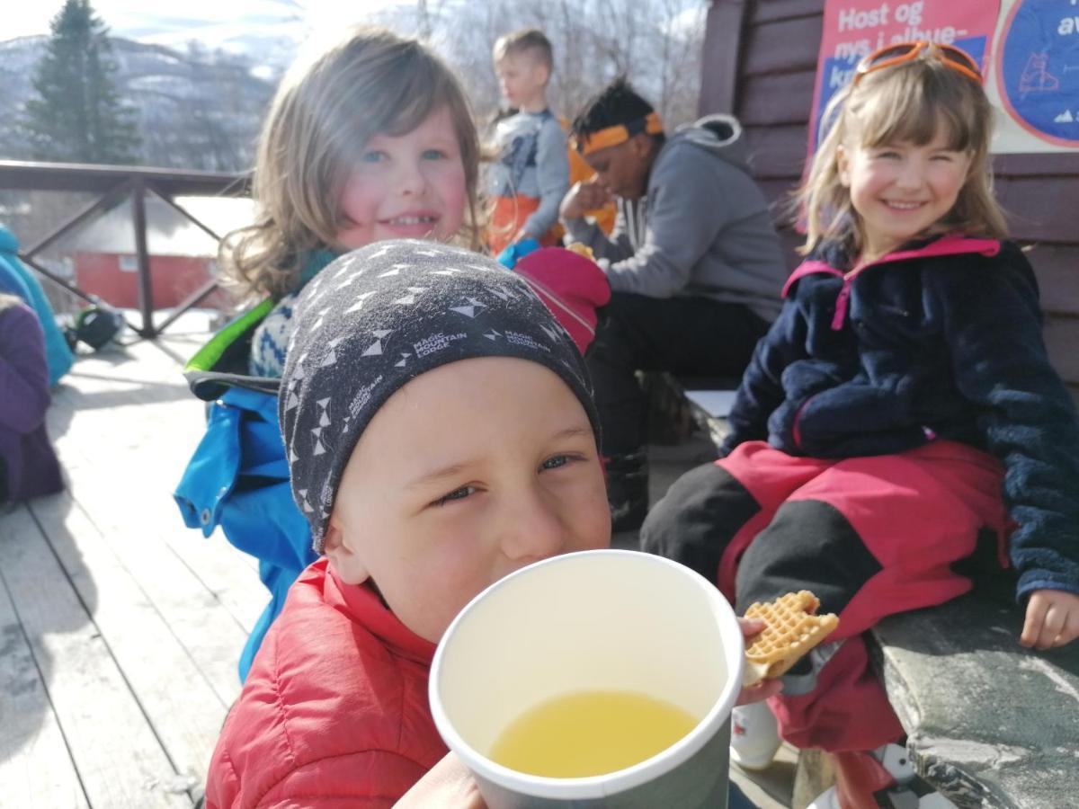 Magic Mountain Lodge - Lyngen Lyngseidet Buitenkant foto