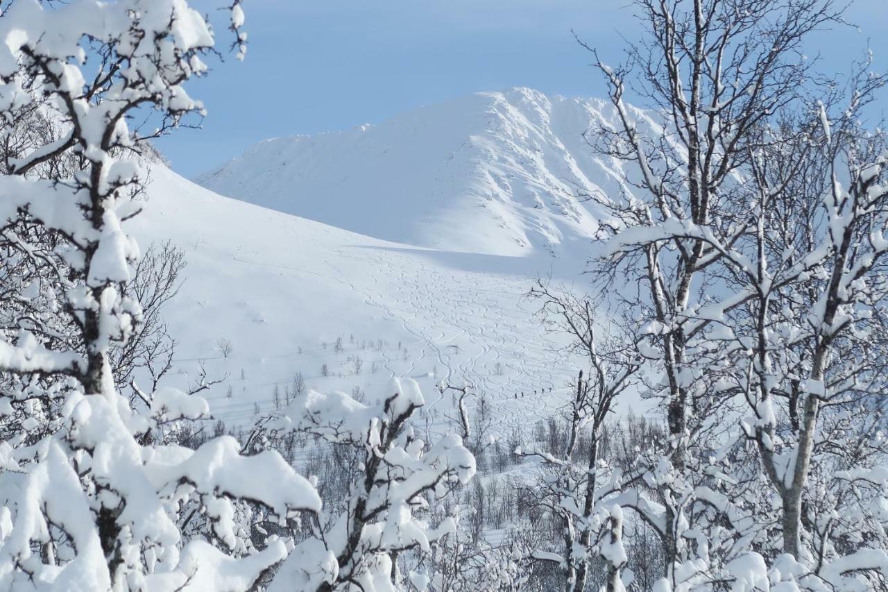 Magic Mountain Lodge - Lyngen Lyngseidet Buitenkant foto